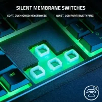 Razer DeathAdder Essential + Ornata V3 X Gaming Set - Kablolu Oyuncu Mouse ve Klavye Seti