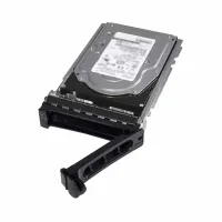 DELL 480GB SSD SATA ISE RI 6GBPS 512E 2.5IN HOT-PLUG 345-BGVP Harddisk