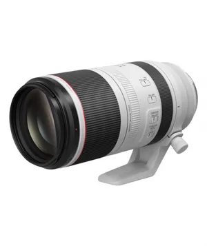 CANON LENS RF 100-500MM F4.5-7.1 L IS USM Objektif