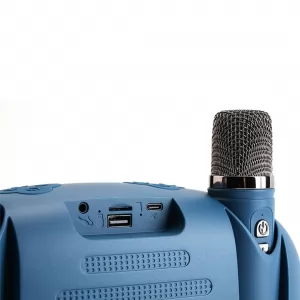 T&G TG542DK Taşınabilir 2 Mikrofonlu Led Işıklı Karaoke Wireless Hoparlör