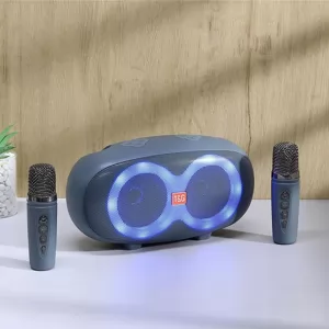 T&G TG542DK Taşınabilir 2 Mikrofonlu Led Işıklı Karaoke Wireless Hoparlör