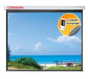 CODEGEN EX-24 240X200 MOTORLU UZAKTAN KUMANDALI 