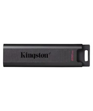 Kingston 256GB TYPE-C Flash Bellek USB 3.2 Gen 2 DataTraveler Max