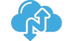 NARBULUT 100GB YEDEKLEME ALANI 1 SERVER 1AY - PROFESSIONAL EDITION