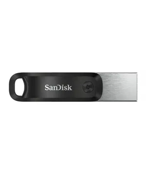 SANDISK 256 GB Flash Bellek Ixpand Go