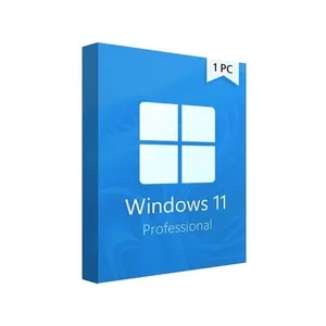 Windows 11 Lisans Professional Türkçe 