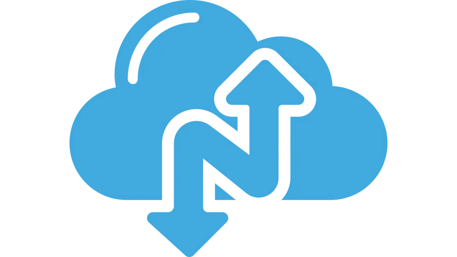 NARBULUT 100GB YEDEKLEME ALANI 1 SERVER 1AY - PROFESSIONAL EDITION